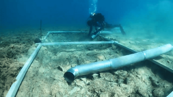 Археологи нашли 7000-летнюю дорогу на дне Средиземного моря