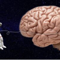 Длительные космические полёты изменяют структуру мозга