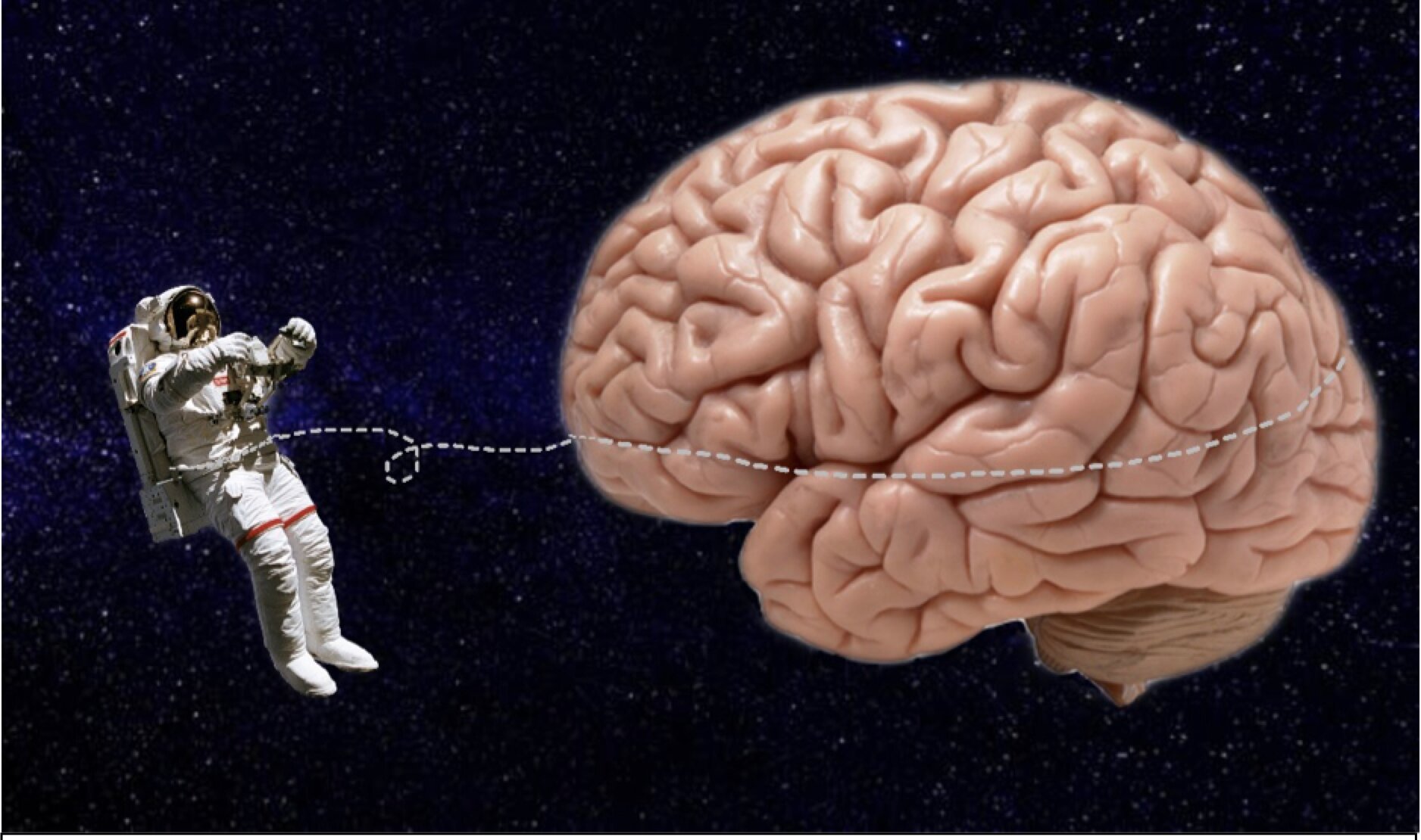 Длительные космические полёты изменяют структуру мозга