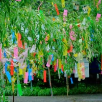 7 июля: Танабата – фестиваль звёзд и влюблённых в Японии