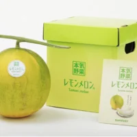Японские фермеры вывели лимонную дыню