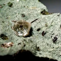 Микробы помогут в поиске алмазных месторождений
