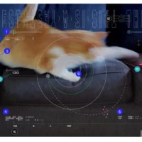 NASA передало из космоса видео с котиком при помощи лазера