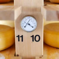 Важнейшие параметры при изготовлении идеального сыра