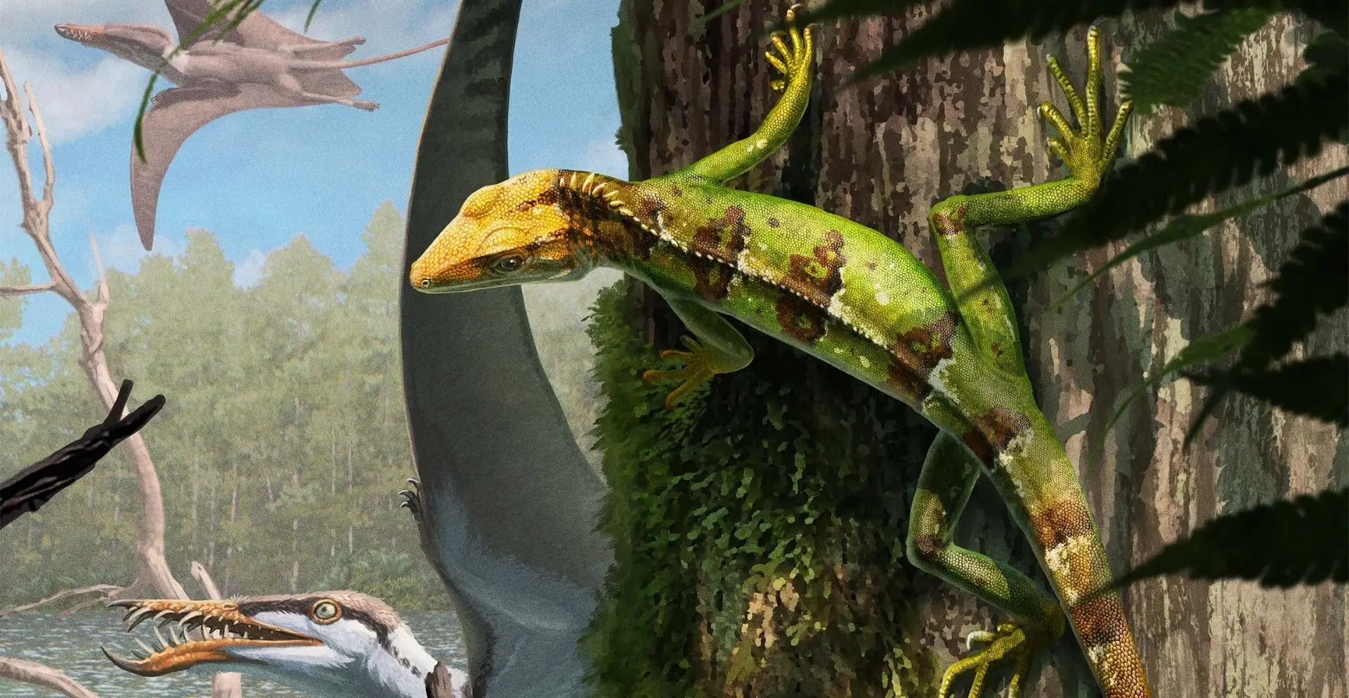 Палеонтолог випадково відкрив ящірок Sphenodraco scandentis