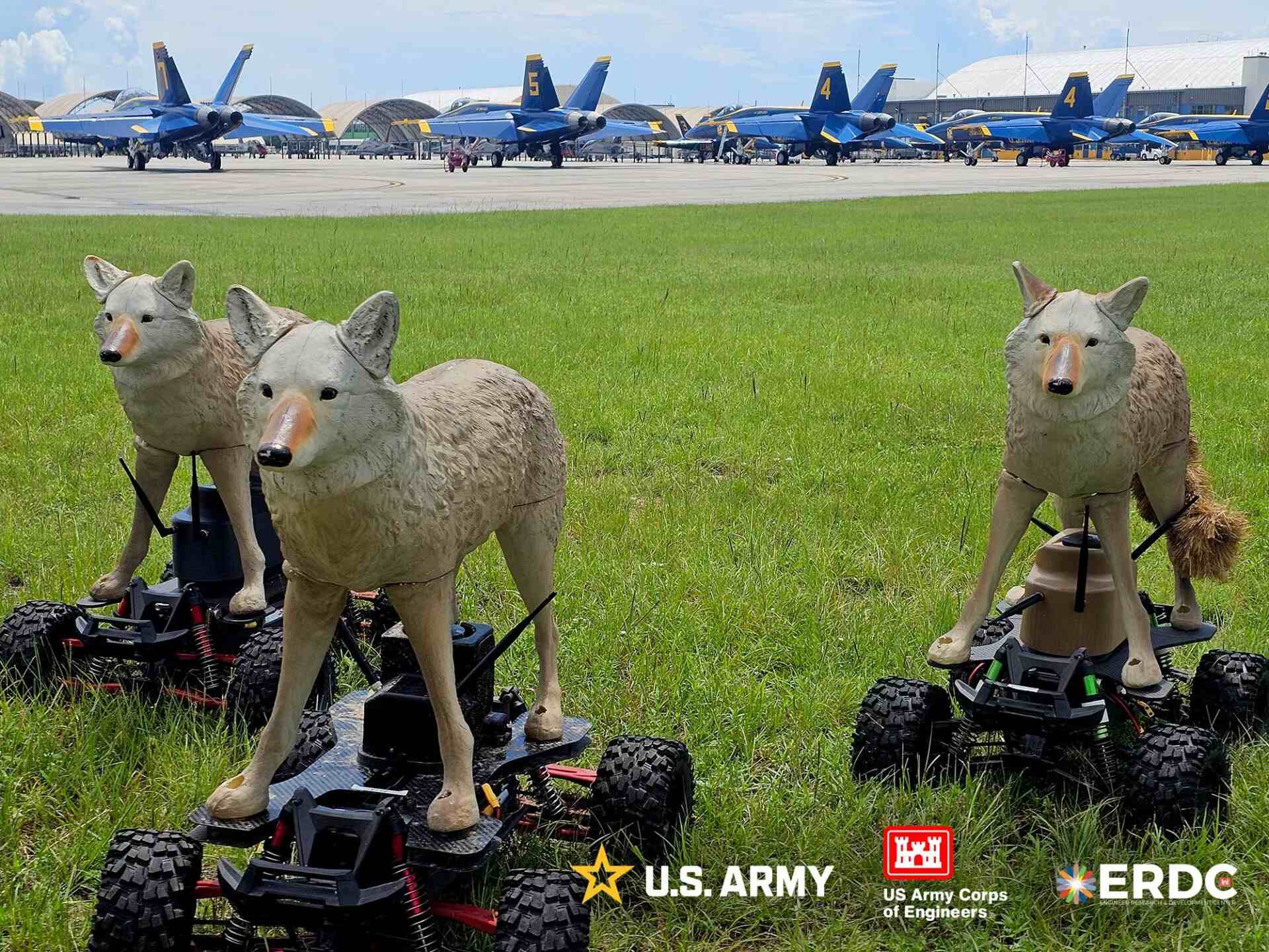 Coyote Rovers: робо-койоти захищають американські військові бази