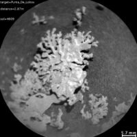 Марсохід NASA сфотографував марсіанський «корал»